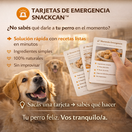 TARJETAS-DE-EMERGENCIA-SNACKCAN™ (Ten las mejores recetas impresas y no dependas de tener tu celular a mano)